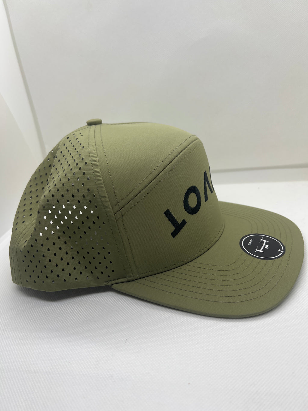 DIVOT SnapBack - green/black