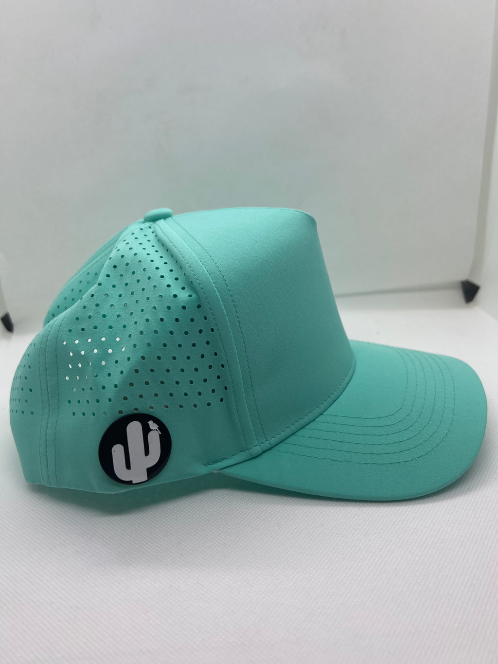 Cactus original blank - Light Blue