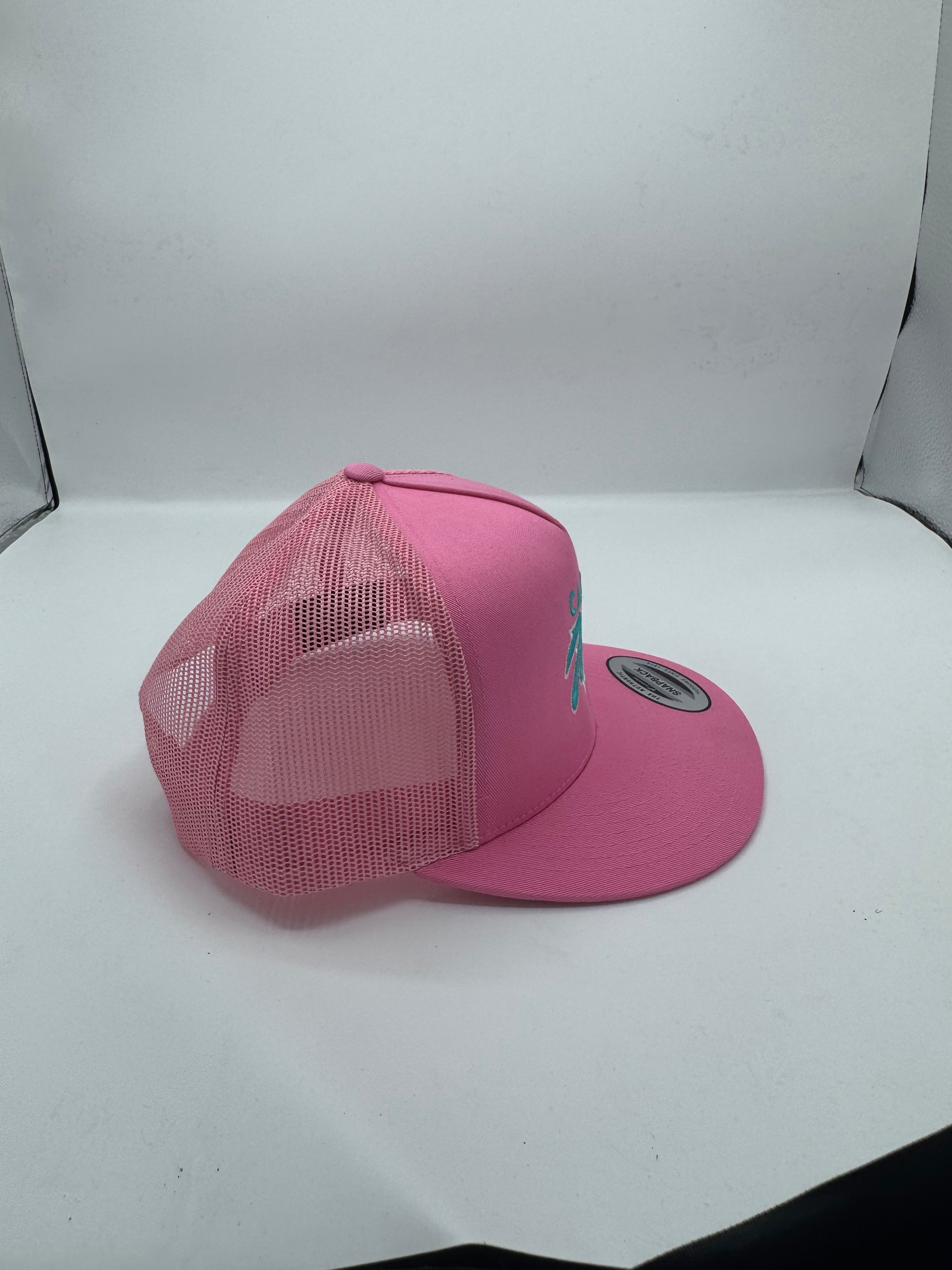 Desert Triangle Logo in pink/teal