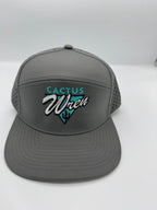 Tri Cactus snapback - gray/teal