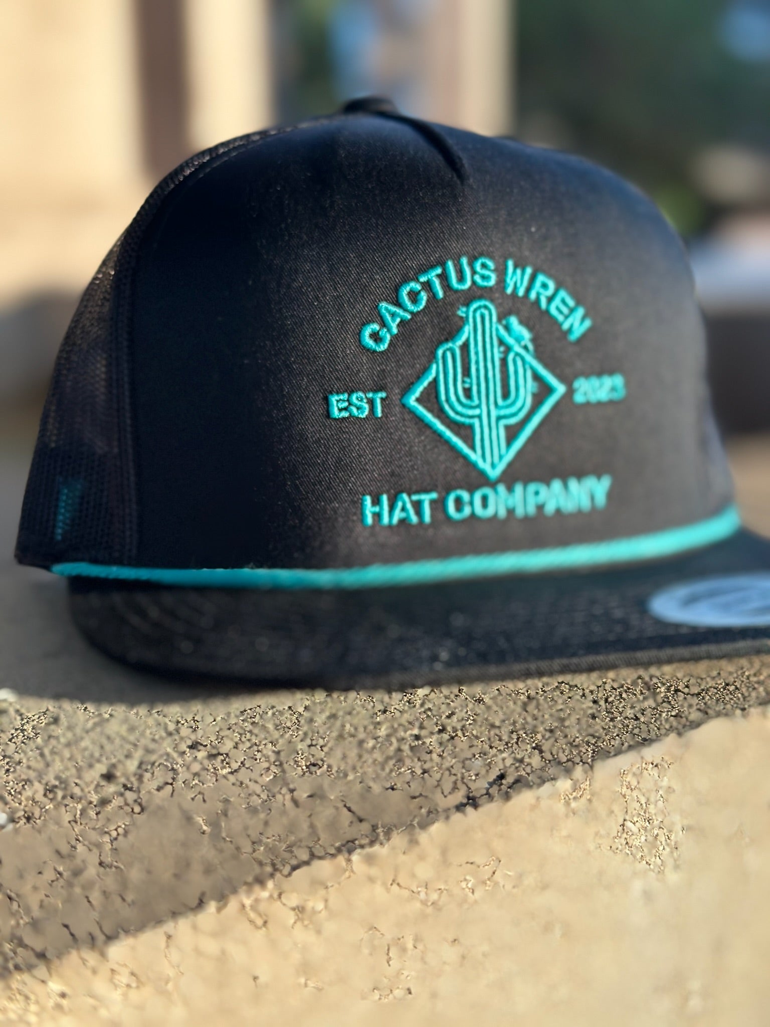 Ranch Logo in Black/Turquoise Rope Hat