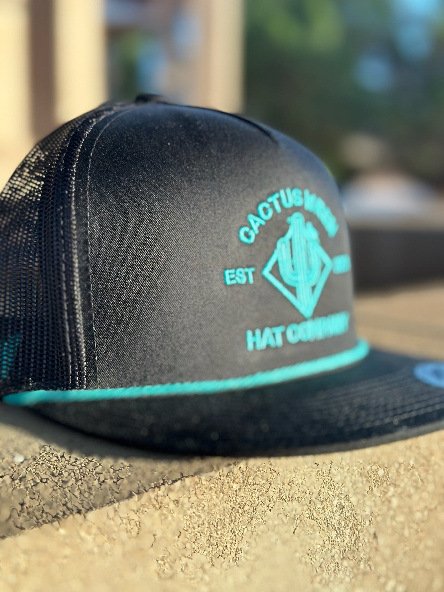 Ranch Logo in Black/Turquoise Rope Hat