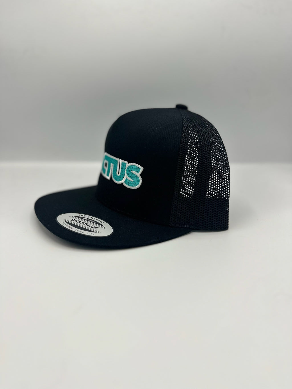 CACTUS Logo in black/turquoise