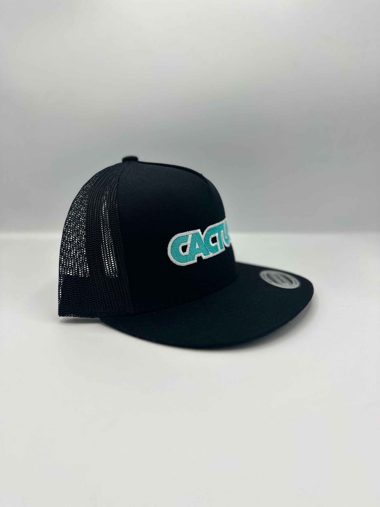 CACTUS Logo in black/turquoise