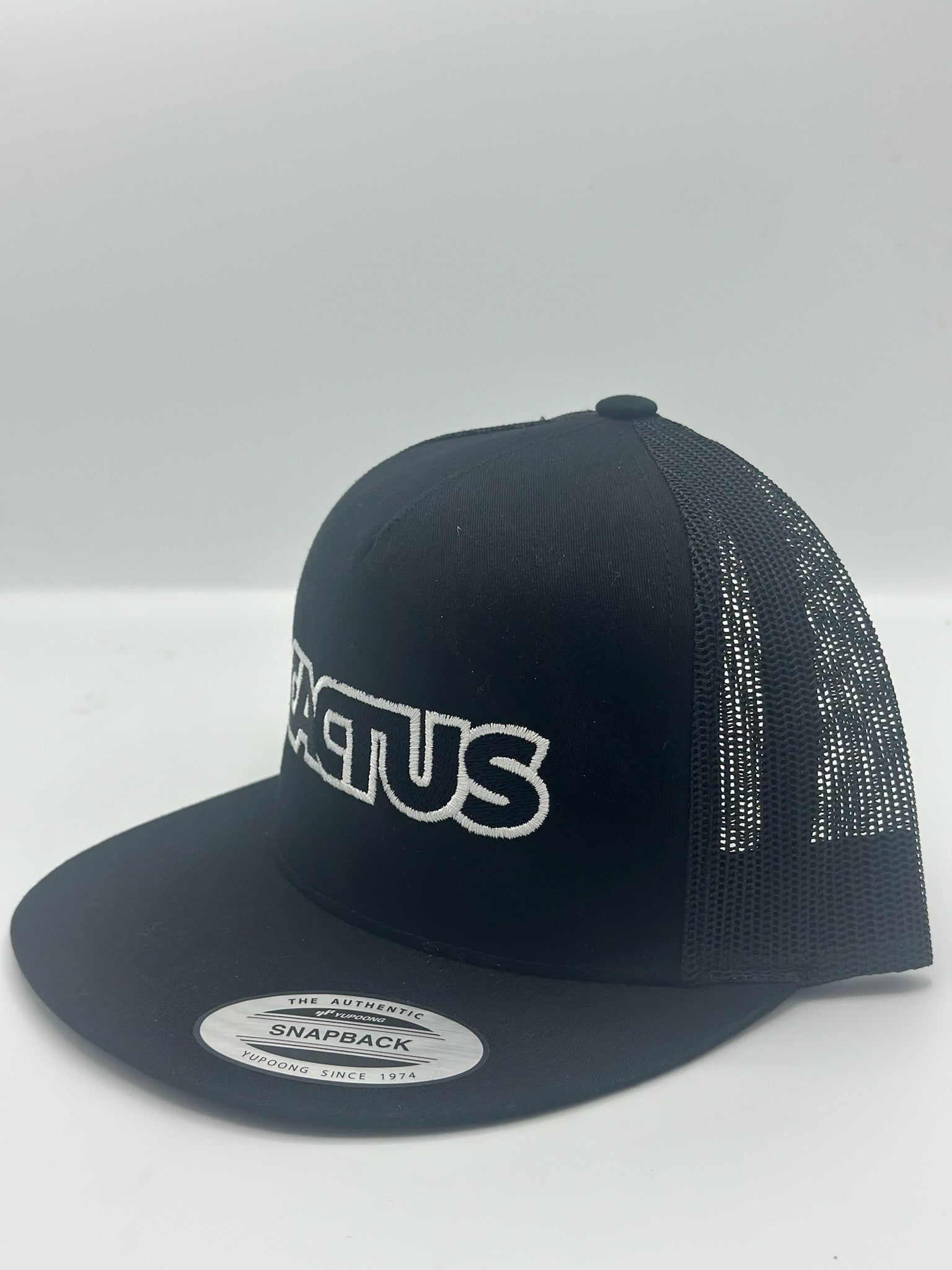 CACTUS Logo in Black/White